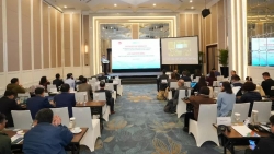 Việt Nam có tiềm năng lớn để trở thành mắt xích quan trọng trong chuỗi cung ứng pin toàn cầu