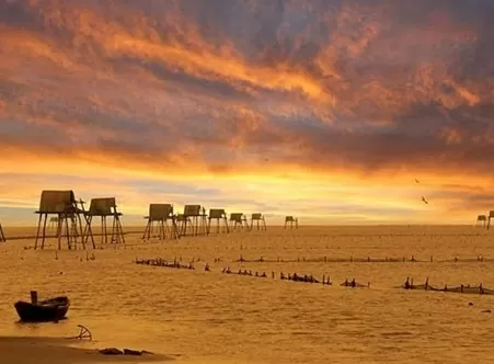 Bãi biển Cồn Vành, Thái Bình. (Nguồn: Traveloka) Bãi biển Cồn Vành, Thái Bình. (Nguồn: Traveloka)