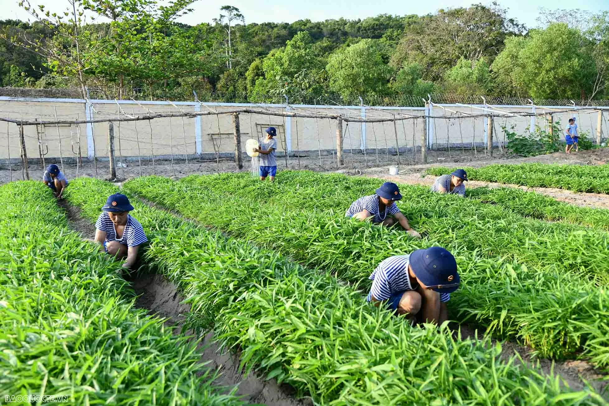 Những ngày đầu trong quân ngũ của chiến sĩ mới Những ngày đầu trong quân ngũ của các chiến sĩ mới