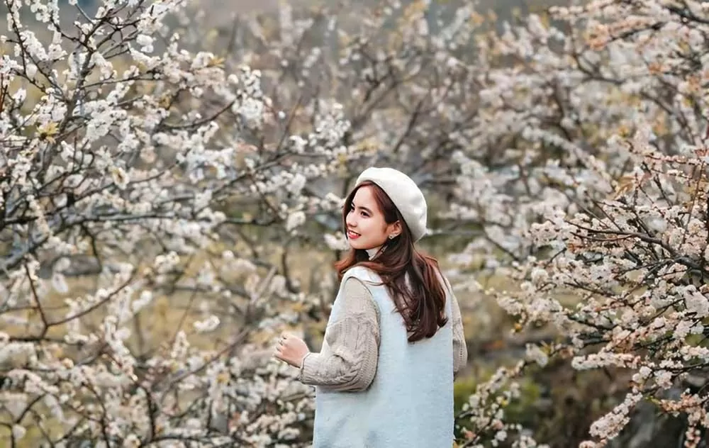 Hoa mận Mộc Châu 'khoác lên tấm áo trắng tinh khôi' như muốn níu chân du khách Hoa mận Mộc Châu 'khoác lên tấm áo trắng tinh khôi' như muốn níu chân du khách