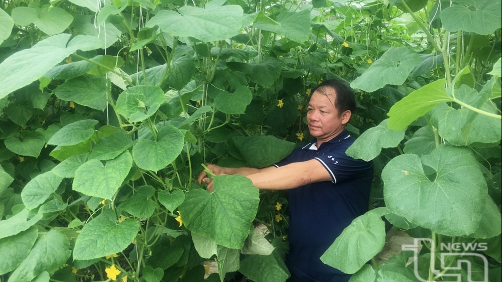 Thái Nguyên ‘vượt chướng ngại vật’, duy trì đà tăng trưởng nông nghiệp