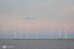 Để nhà đầu tư không 'lỡ nhịp' với năng lượng tái tạo ở Việt Nam