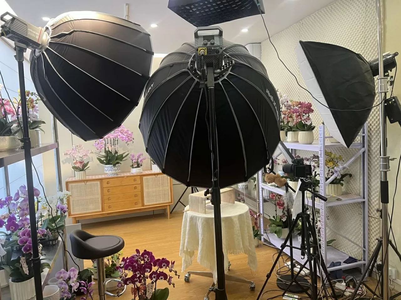 Lễ hội hoa lan hồ điệp quốc tế 2025 tại thành phố Phật Sơn, tỉnh Quảng Đông Lễ hội hoa lan hồ điệp quốc tế 2025 tại thành phố Phật Sơn, tỉnh Quảng Đông