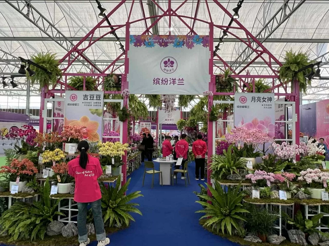 Lễ hội hoa lan hồ điệp quốc tế 2025 tại thành phố Phật Sơn, tỉnh Quảng Đông Lễ hội hoa lan hồ điệp quốc tế 2025 tại thành phố Phật Sơn, tỉnh Quảng Đông