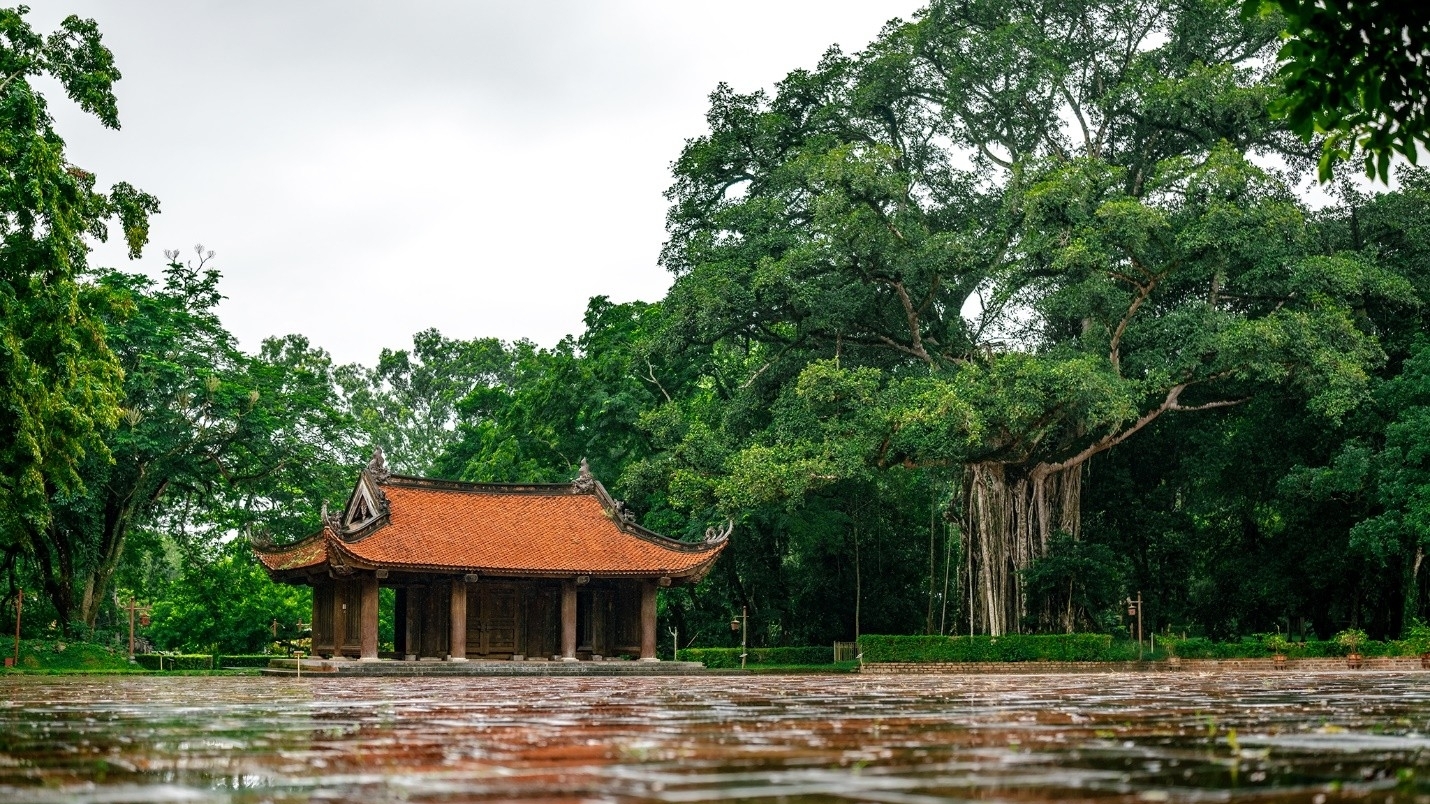 LAMORI: Kiến thiết bởi sự thanh tao