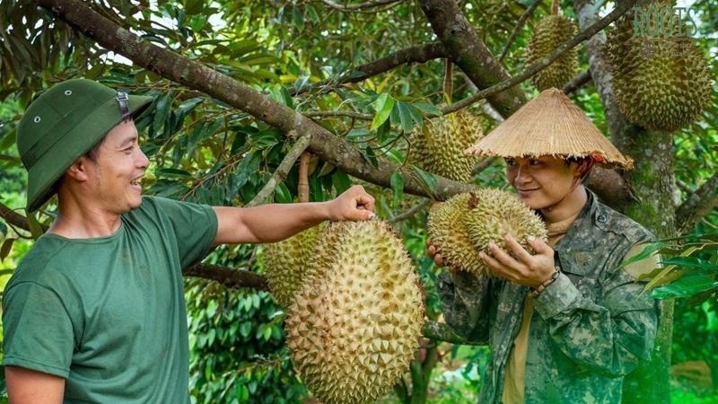 Gỡ điểm nghẽn, đưa nông sản Việt Nam thành ‘bạn hàng’ uy tín với khách hàng quốc tế