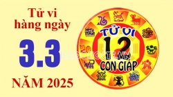 Tử vi hôm nay, xem tử vi 12 con giáp hôm nay ngày 3/3/2025: Tuổi Tý thu nhập gia tăng