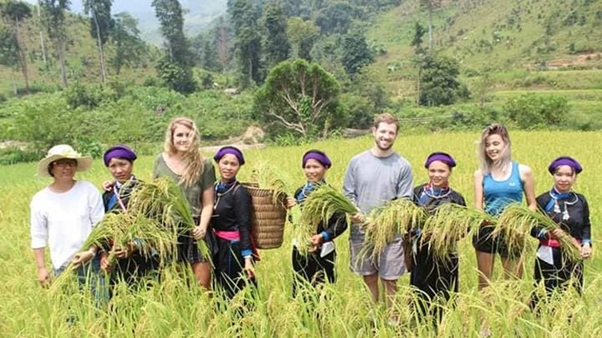 Huyện Bắc Hà: Kinh tế nông nghiệp thu 'trái ngọt', hướng đến tạo đột phá về du lịch
