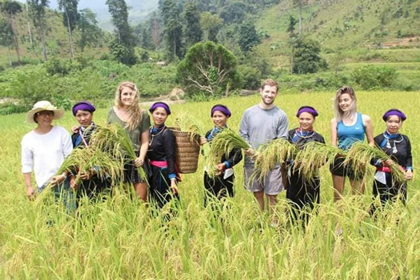 Huyện Bắc Hà: Kinh tế nông nghiệp thu 'trái ngọt', hướng đến tạo đột phá về du lịch