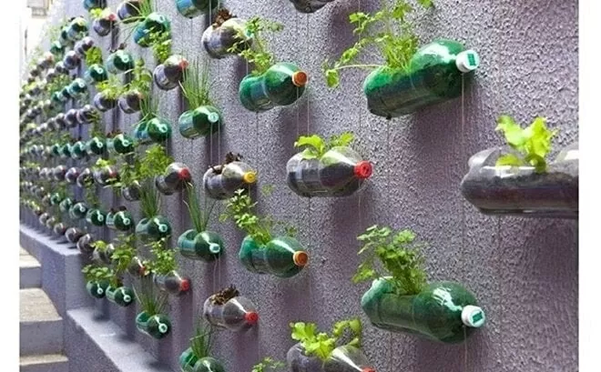 Sống 'xanh' vì môi trường sạch bền vững Sống 'xanh' vì môi trường sạch bền vững