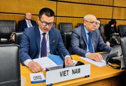 Việt Nam và IAEA hợp tác chặt chẽ trong phát triển, ứng dụng công nghệ hạt nhân vì mục đích hòa bình