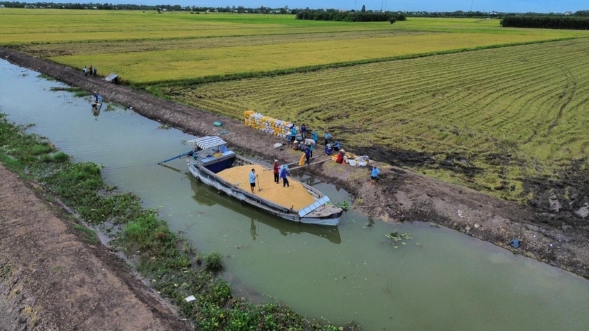Long An: Quyết liệt giải ngân đầu tư công, không để ảnh hưởng tới mục tiêu tăng trưởng 2 con số