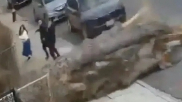 Cây cổ thụ đổ vỡ trên phố, 3 người thoát chết kỳ lạ