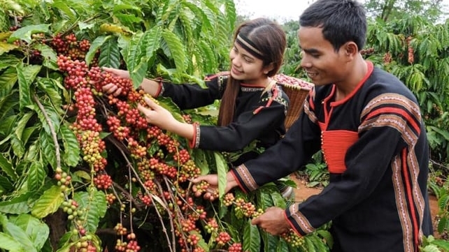 Công nhận thêm 3 Di sản văn hóa phi vật thể quốc gia