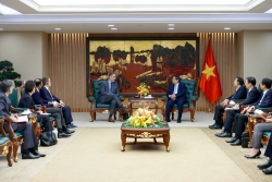 Tập đoàn điện lực Pháp mong muốn tiếp tục mở rộng đầu tư tại Việt Nam