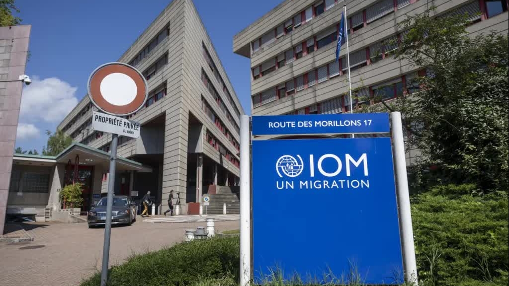 Tổ chức di cư quốc tế sa thải nhân sự quy mô lớn vì... Mỹ