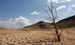 Biến đổi khí hậu và câu chuyện ứng phó từ Việt Nam