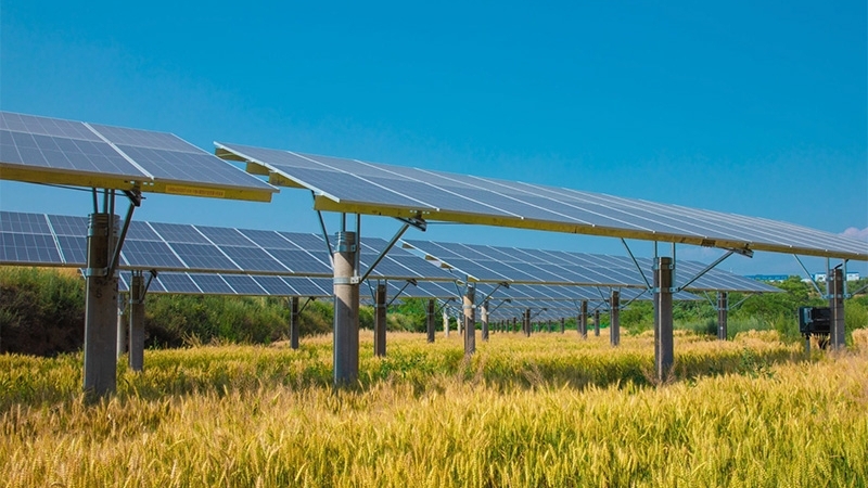 Phát triển năng lượng tái tạo ở nông thôn: Từ triển vọng đến thực tiễn