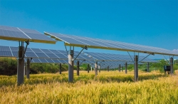 Phát triển năng lượng tái tạo ở nông thôn: Từ triển vọng đến thực tiễn