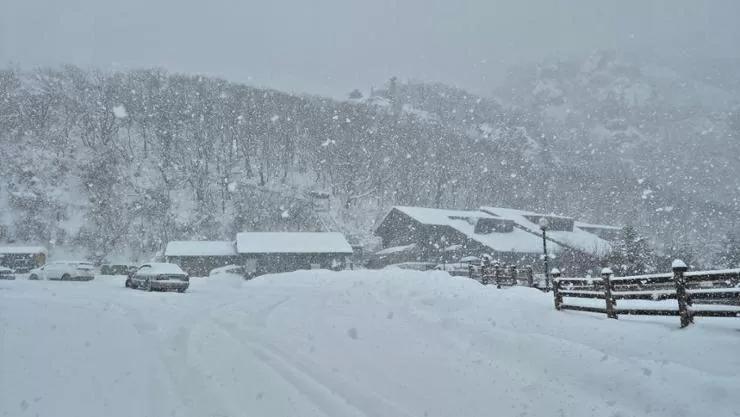 Khung cảnh trắng xoá ở Hàn Quốc sau khi bị bão tuyết ‘tấn công’