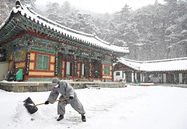 Khung cảnh trắng xoá ở Hàn Quốc sau khi bị bão tuyết ‘tấn công’ Khung cảnh trắng xoá ở Hàn Quốc sau khi bị bão tuyết ‘tấn công’