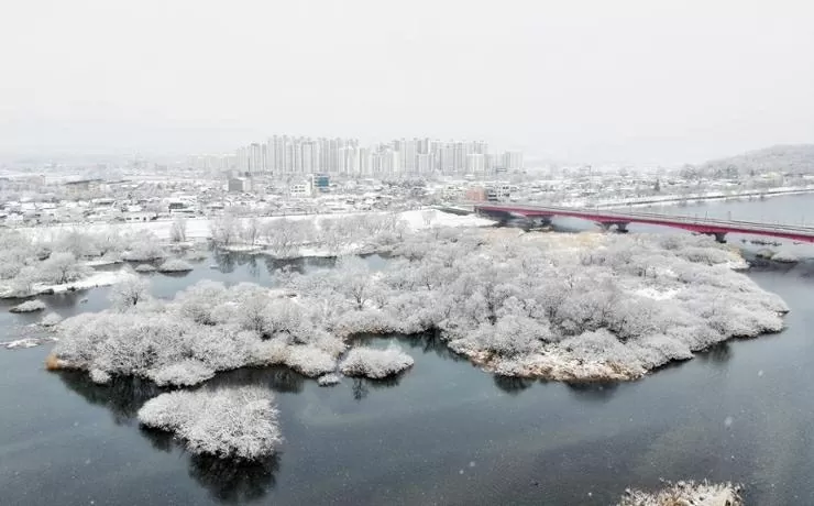 Khung cảnh trắng xoá ở Hàn Quốc sau khi bị bão tuyết ‘tấn công’ Khung cảnh trắng xoá ở Hàn Quốc sau khi bị bão tuyết ‘tấn công’