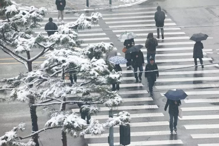 Khung cảnh trắng xoá ở Hàn Quốc sau khi bị bão tuyết ‘tấn công’
