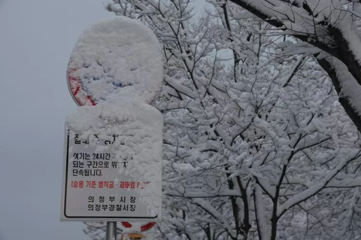 Khung cảnh trắng xoá ở Hàn Quốc sau khi bị bão tuyết ‘tấn công’ Khung cảnh trắng xoá ở Hàn Quốc sau khi bị bão tuyết ‘tấn công’