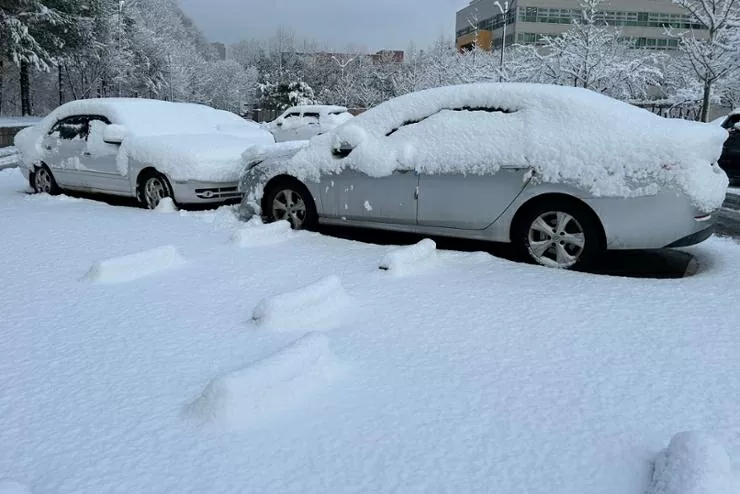 Khung cảnh trắng xoá ở Hàn Quốc sau khi bị bão tuyết ‘tấn công’ Khung cảnh trắng xoá ở Hàn Quốc sau khi bị bão tuyết ‘tấn công’