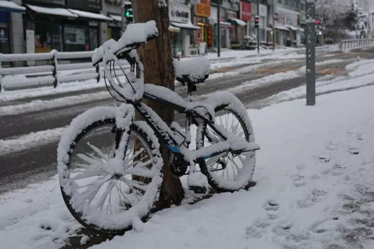 Khung cảnh trắng xoá ở Hàn Quốc sau khi bị bão tuyết ‘tấn công’