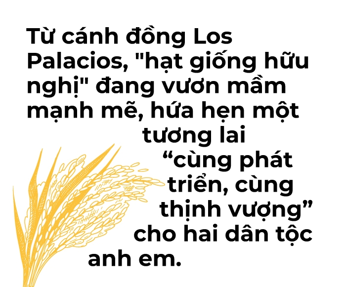 'Hạt giống hữu nghị' đang vươn mầm mạnh mẽ