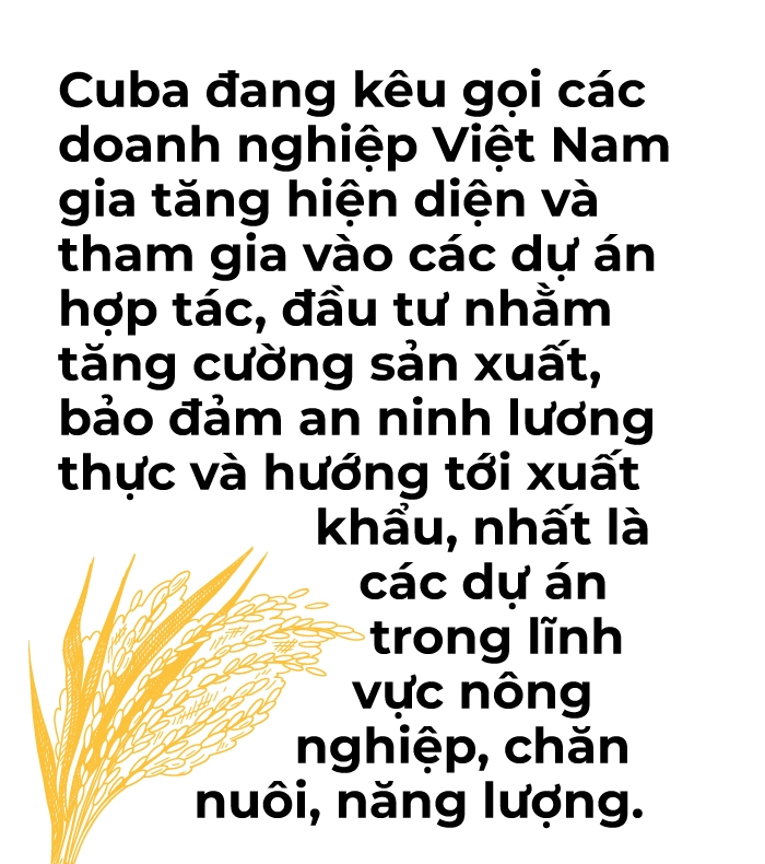 'Hạt giống hữu nghị' đang vươn mầm mạnh mẽ