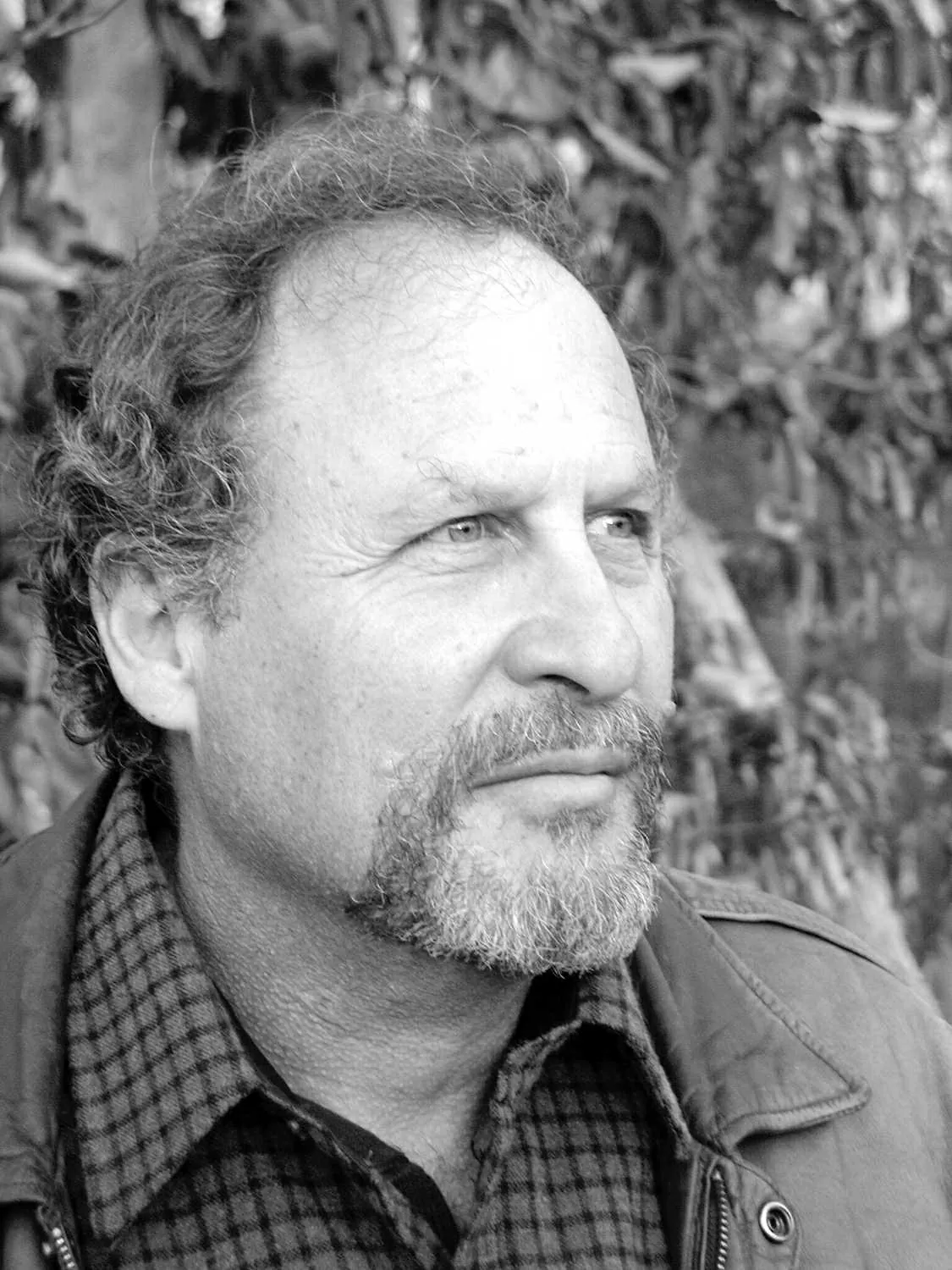 Cơ hội giao lưu với nhà văn Mỹ Wayne Karlin Cơ hội giao lưu với nhà văn Mỹ Wayne Karlin