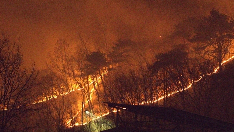 Cháy rừng nghiêm trọng: Hàn Quốc nỗ lực ngăn chặn lan rộng; Nhật Bản có hai người bị thương