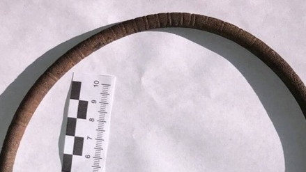 Ba Lan: Phát hiện chiếc vòng cổ quý hiếm trên cánh đồng