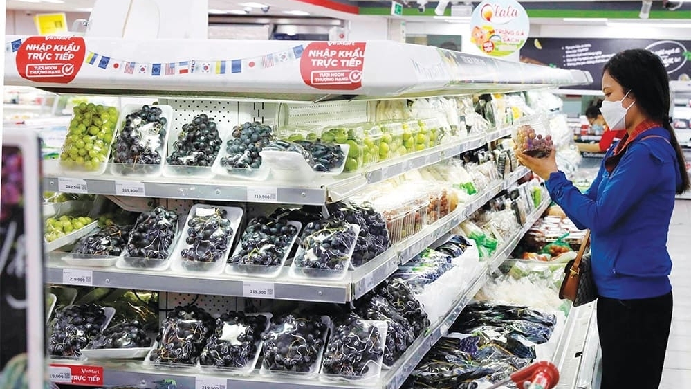 Việt Nam đang có tốc độ tăng trưởng phi thường