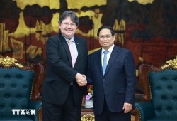 Thủ tướng Phạm Minh Chính tiếp Đại sứ Cộng hòa Áo tại Việt Nam