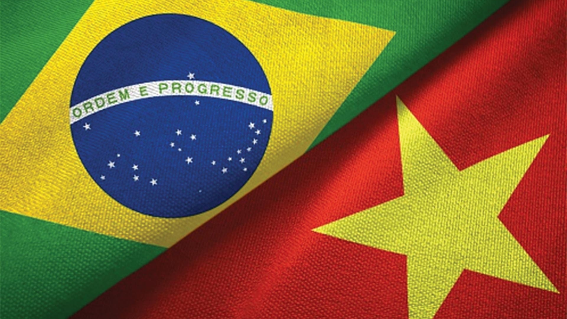 Quan hệ Việt Nam-Brazil: Cam kết chặt chẽ, hành động mạnh mẽ