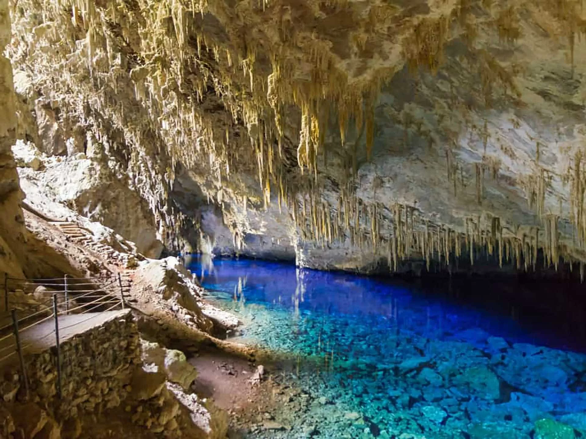‘Cây hút tiền’ của Brazil