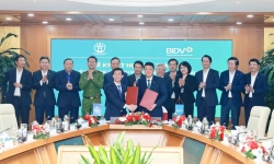 Chung tay đưa dịch vụ công trực tuyến đến gần hơn với người dân và doanh nghiệp