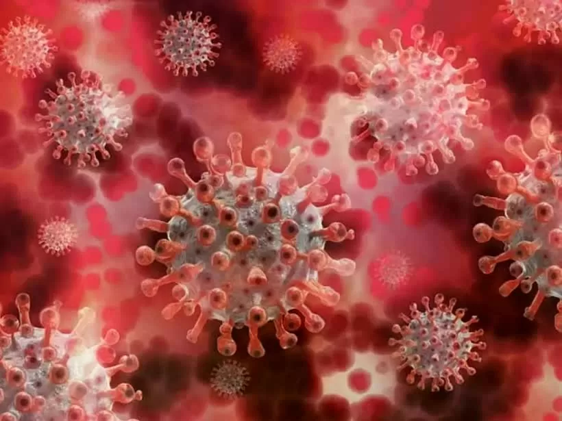 Xuất hiện virus lạ gây triệu chứng ho ra máu ở Nga Xuất hiện virus lạ gây triệu chứng ho ra máu ở Nga