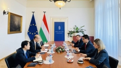 Việt Nam-Hungary thúc đẩy hợp tác kinh tế, thương mại và đầu tư