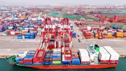 Bộ trưởng Tài chính bảo vệ toàn diện chính sách thuế quan của ông Trump; tuyến vận tải Mỹ-Trung 'tê liệt'