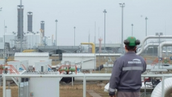 Mỹ thúc đẩy dự luật trừng phạt mới, áp thuế không dưới 500%, liên quan năng lượng Nga