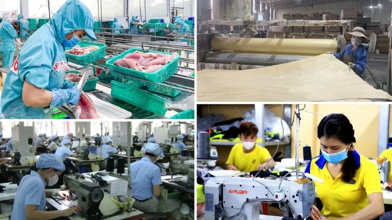 Thứ trưởng Bộ Tài chính: Nghị quyết số 68-NQ/TW là chủ trương lớn của Đảng trong phát triển kinh tế khu vực tư nhân