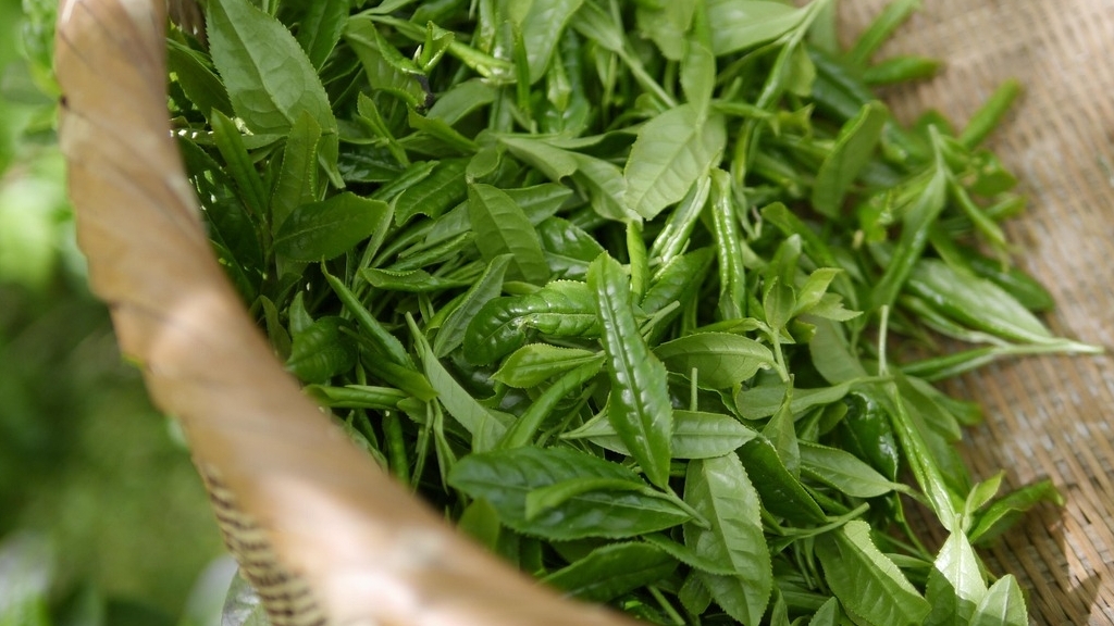 11 thực phẩm yêu thích của những người thọ nhất thế giới