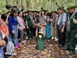 Về huyền thoại Địa đạo Củ Chi