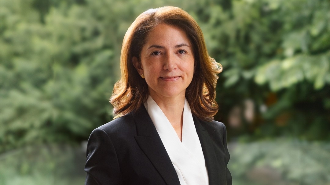 Việt Nam, Colombia và P4G: 'Vun trồng' các sáng kiến mới