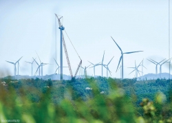 Hội nghị thượng đỉnh P4G 2025: Cánh cửa mới huy động nguồn lực