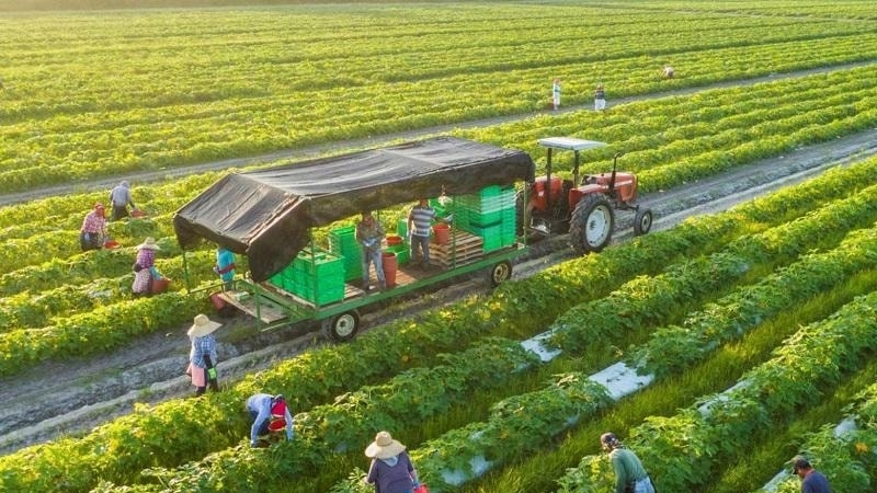 Sẽ tiến hành Tổng điều tra nông thôn, nông nghiệp năm 2025 từ ngày 1/7